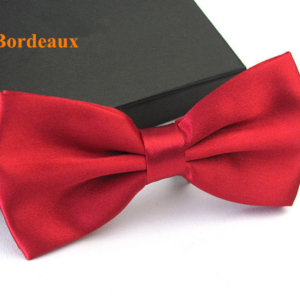 bowtie_bow_tie 03