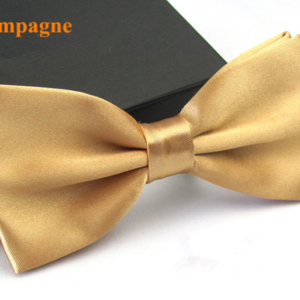 Bow Tie - Accessories 04