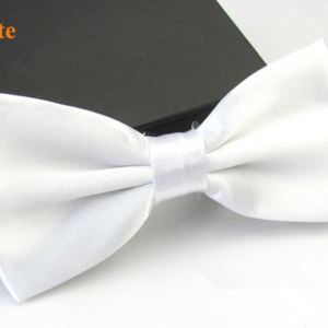Bow Tie - Accessories 08